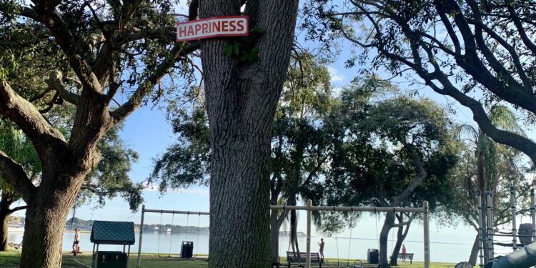 Reaching for Happiness